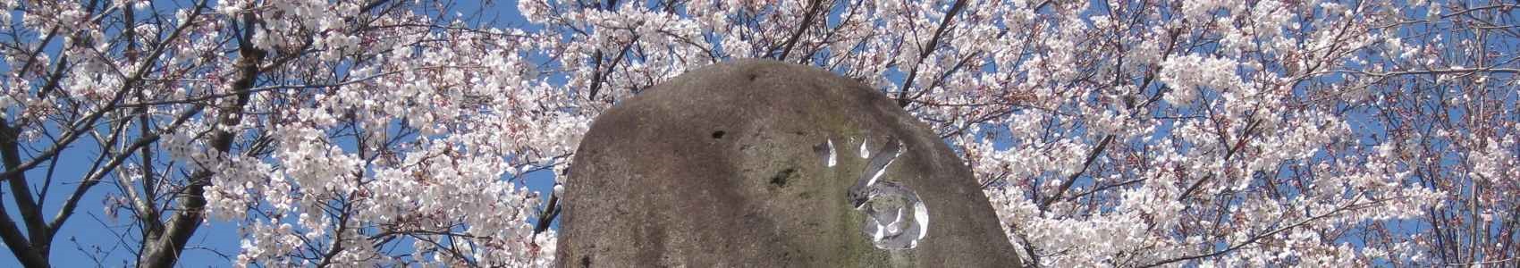 スライドショー画像
